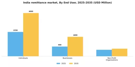 India Remittance Market Segment Image 1