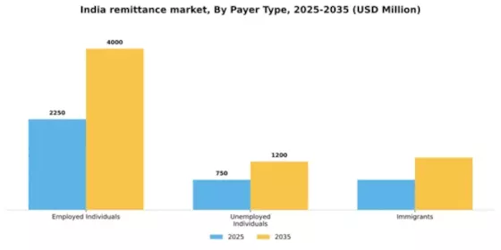 India Remittance Market Segment Image 2