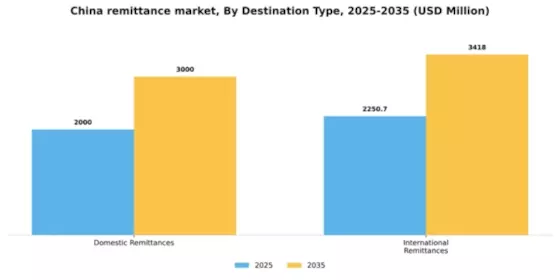 China Remittance Market Segment Image 0