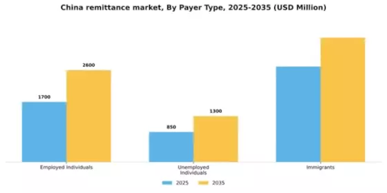 China Remittance Market Segment Image 2