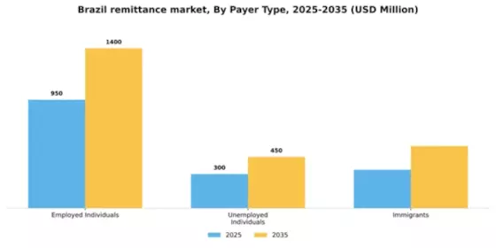 Brazil Remittance Market Segment Image 2