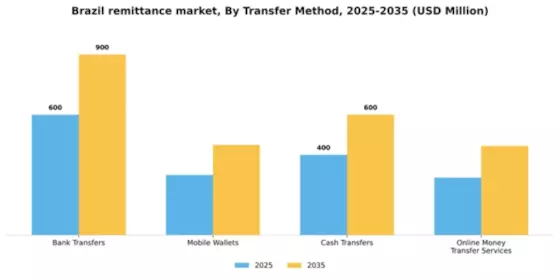 Brazil Remittance Market Segment Image 3