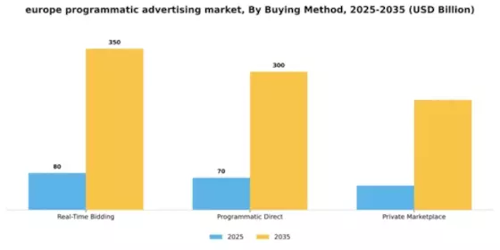 Europe Programmatic Advertising Market Segment Image 2