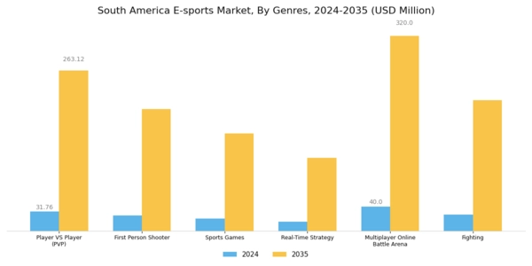 South America E Sports Market Segment Image 1