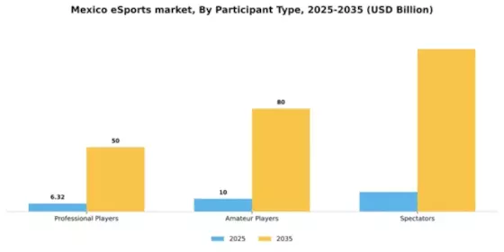 Mexico E Sports Market Segment Image 1