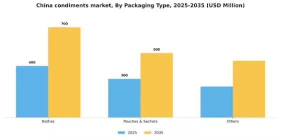 China Condiments Market Segment Image 1