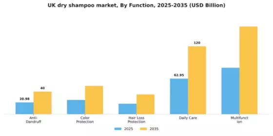 UK Dry Shampoo Market Segment Image 1
