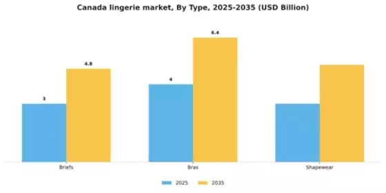 Canada Lingerie Market Segment Image 2
