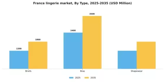 France Lingerie Market Segment Image 2