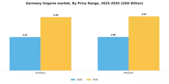 Germany Lingerie Market Segment Image 1