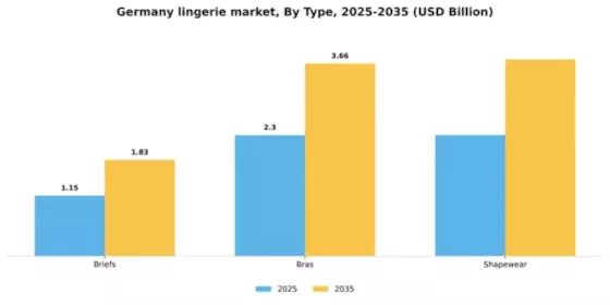Germany Lingerie Market Segment Image 2