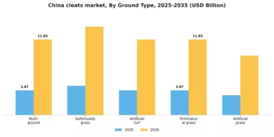 China Cleats Market Segment Image 1