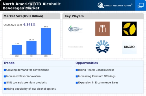North America RTD Alcoholic Beverages Market Infographic