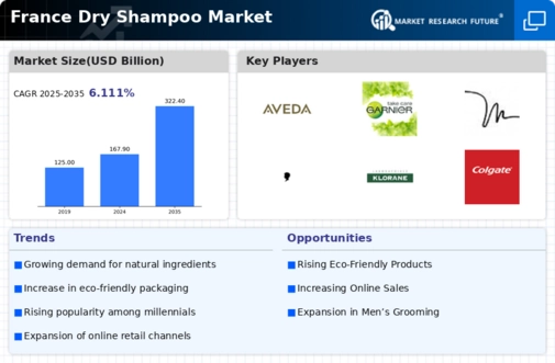 France Dry Shampoo Market Infographic