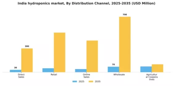 India Hydroponics Market Segment Image 1
