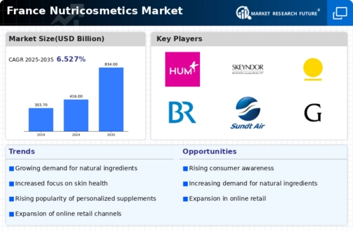 France Nutricosmetics Market Infographic