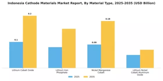 Indonesia Cathode Materials Market Segment Image 2