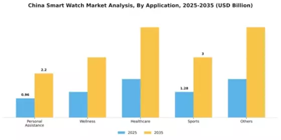 China Smart Watch Market Segment Image 0