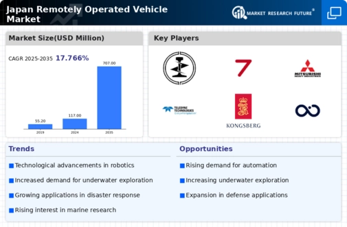 Japan Remotely Operated Vehicle Market Infographic