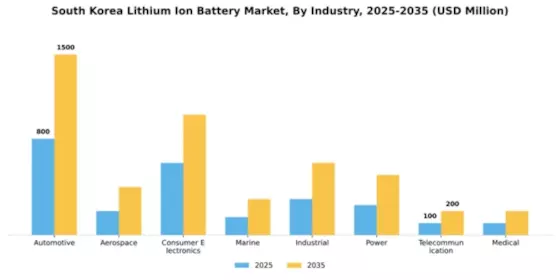 South Korea Lithium Ion Battery Market Segment Image 1