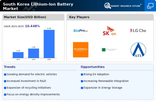 South Korea Lithium Ion Battery Market Infographic