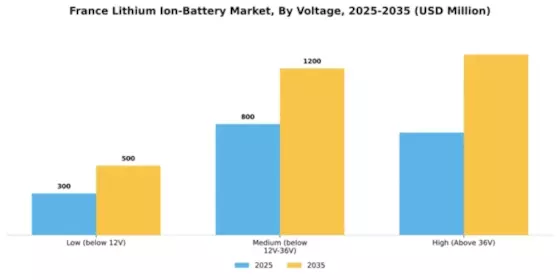 France Lithium Ion Battery Market Segment Image 3