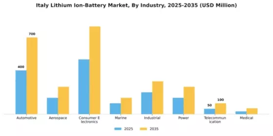 Italy Lithium Ion Battery Market Segment Image 1