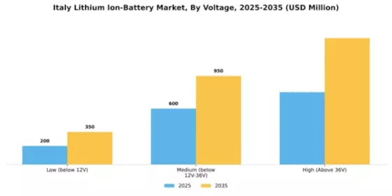 Italy Lithium Ion Battery Market Segment Image 3