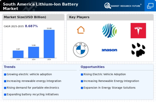South America Lithium Ion Battery Market Infographic
