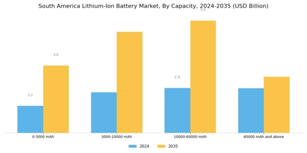 South America Lithium Ion Battery Market Segment Image 1