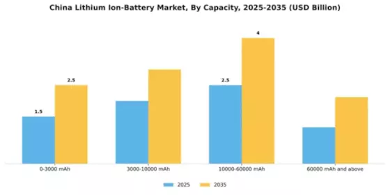 China Lithium Ion Battery Market Segment Image 0