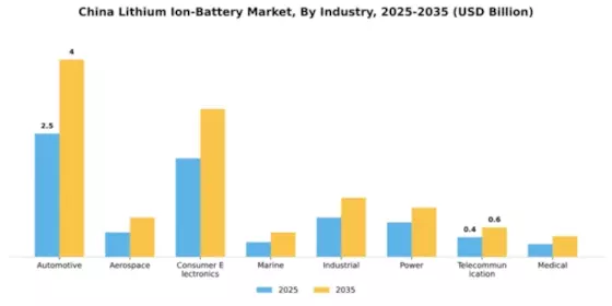 China Lithium Ion Battery Market Segment Image 1