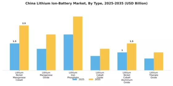 China Lithium Ion Battery Market Segment Image 2