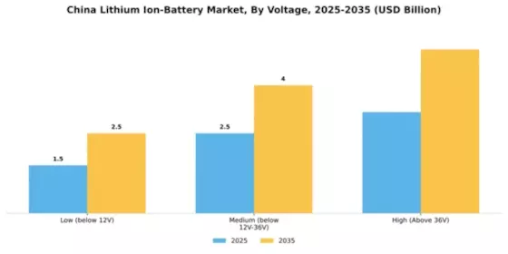 China Lithium Ion Battery Market Segment Image 3