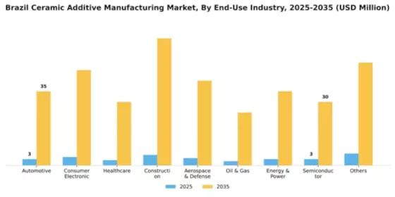 Brazil Ceramic Additive Manufacturing Market Segment Image 0