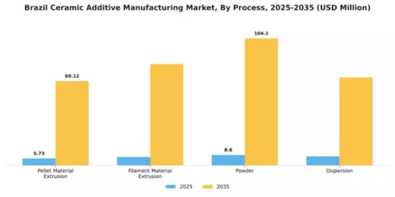 Brazil Ceramic Additive Manufacturing Market Segment Image 1