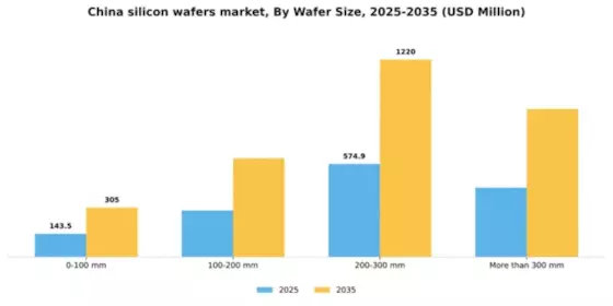 China Silicon Wafers Market Segment Image 3
