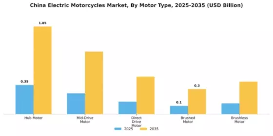 China Electric Motorcycle Market Segment Image 3