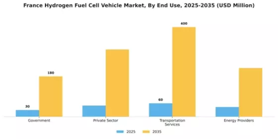 France Hydrogen Fuel Cell Vehicle Market Segment Image 1