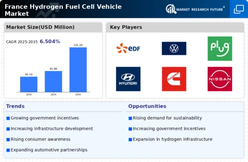 France Hydrogen Fuel Cell Vehicle Market Infographic