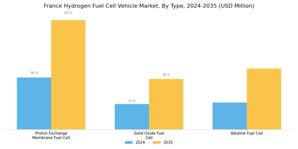 France Hydrogen Fuel Cell Vehicle Market Segment Image 0