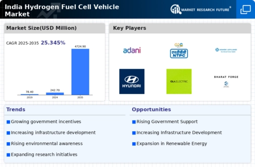 India Hydrogen Fuel Cell Vehicle Market Infographic