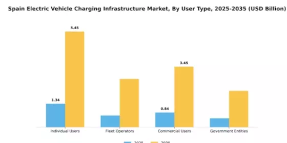 Spain Electric Vehicle Charging Infrastructure Market Segment Image 3