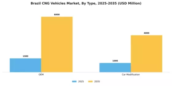 Brazil CNG Vehicles Market Segment Image 1