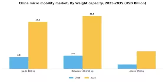 China Micro Mobility Market Segment Image 3