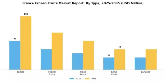 France Frozen Fruits Market Segment Image 3