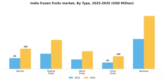 India Frozen Fruits Market Segment Image 3