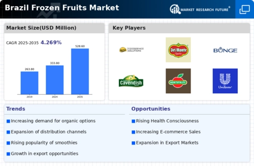 Brazil Frozen Fruits Market Infographic
