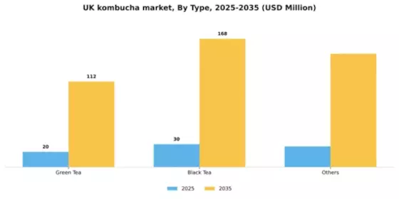 UK Kombucha Market Segment Image 2