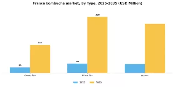France Kombucha Market Segment Image 2